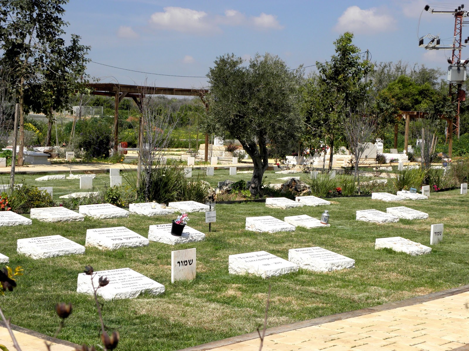 מנוחה נכונה כפר סבא